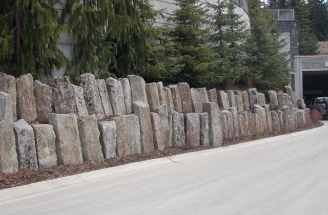 Huckleberry Basalt Canadian Columns